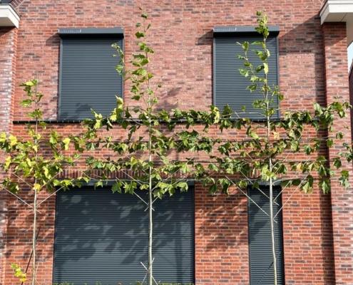 Deco-Zonwering-Solar-rolluiken-antraciet-1