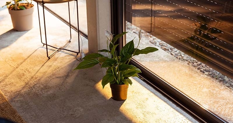 dynamische zonwering regensensor temperatuursensor